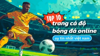 Trang cá cược bóng đá hấp dẫn: Trangcacuocbongda.lat